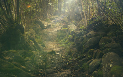 Zen Practice as Path – Six Tips