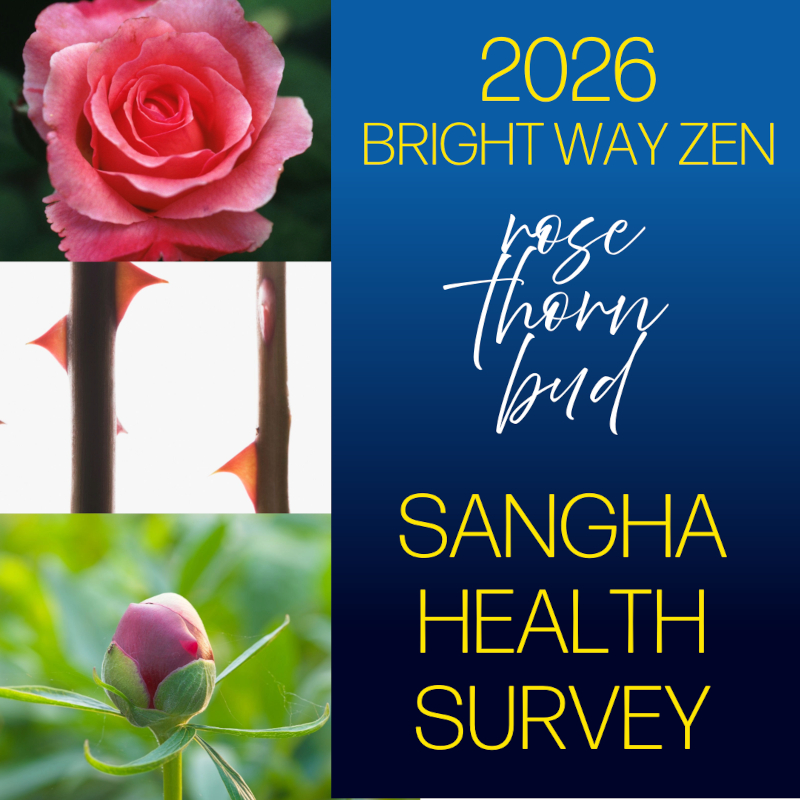 sangha-health-survey_logo- smaller